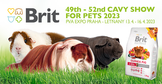 23030 49th 52nd CAVY SHOW FOR PETS banner FB 564x295px